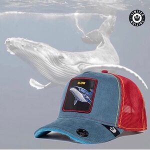 Goorin Bros - “Blow”‎ Hole Limited Circulation OS NWT